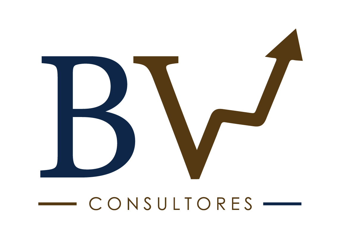 BVL Consultores Logo